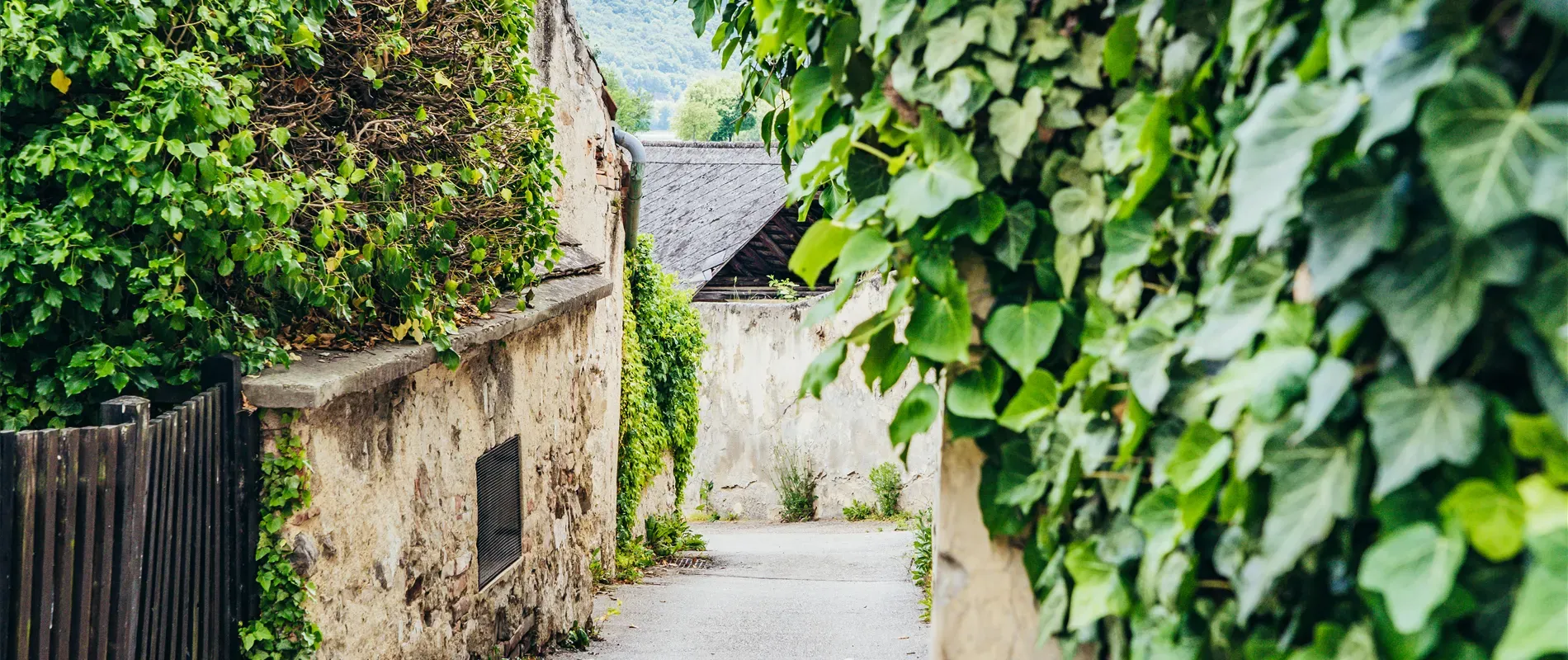 Kein Bildtext verfügbar