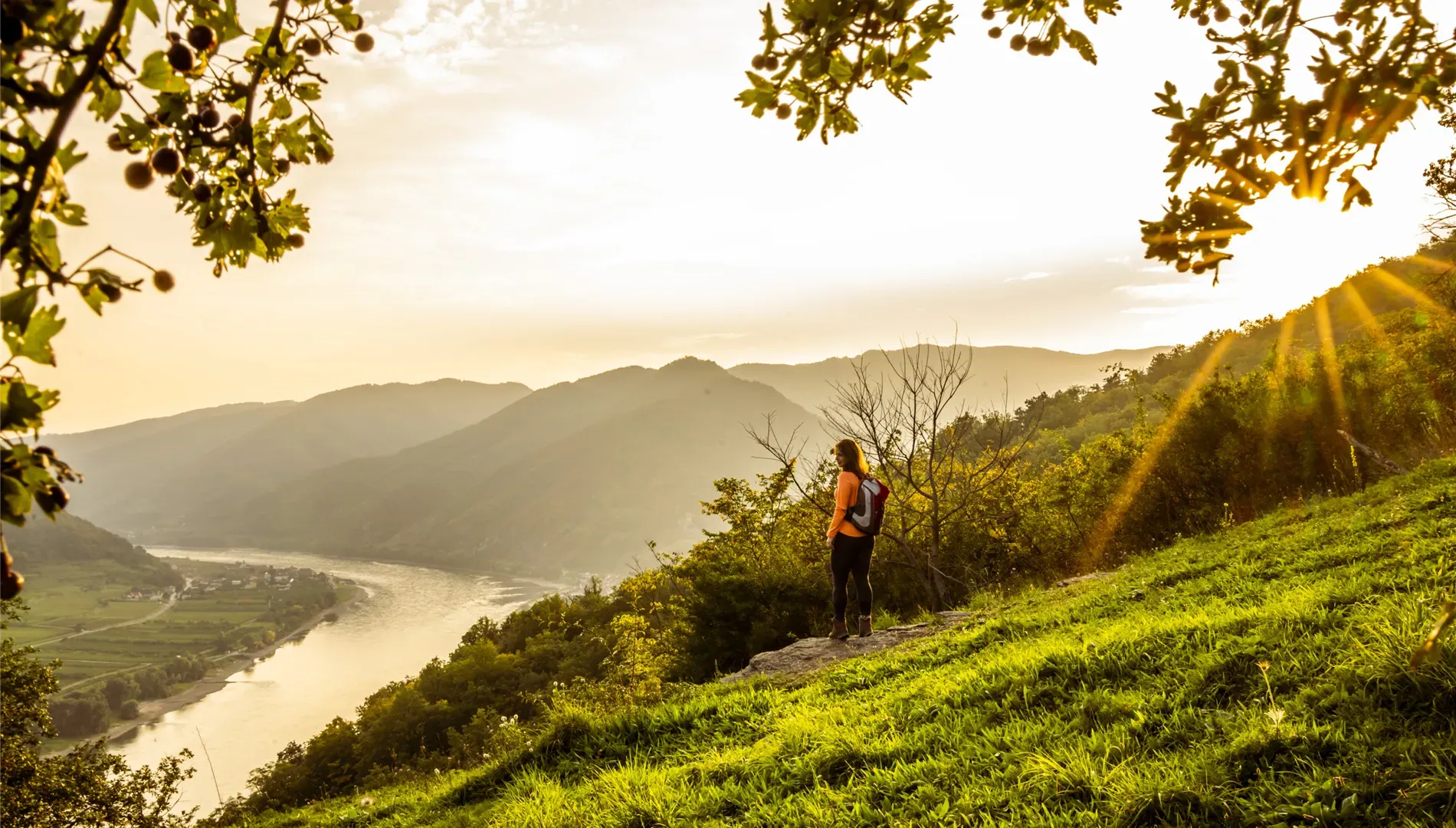Kein Bildtext verfügbar